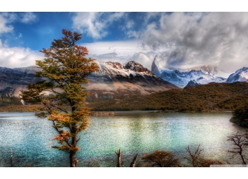 團(tuán)隊(duì)掠影